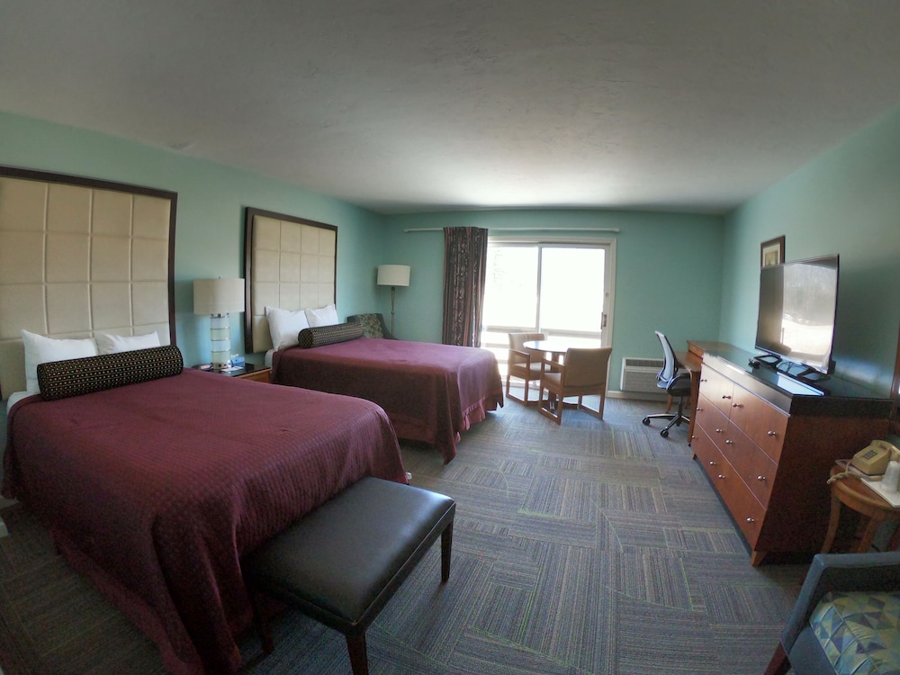 Studio, Suite, 2 Double Beds