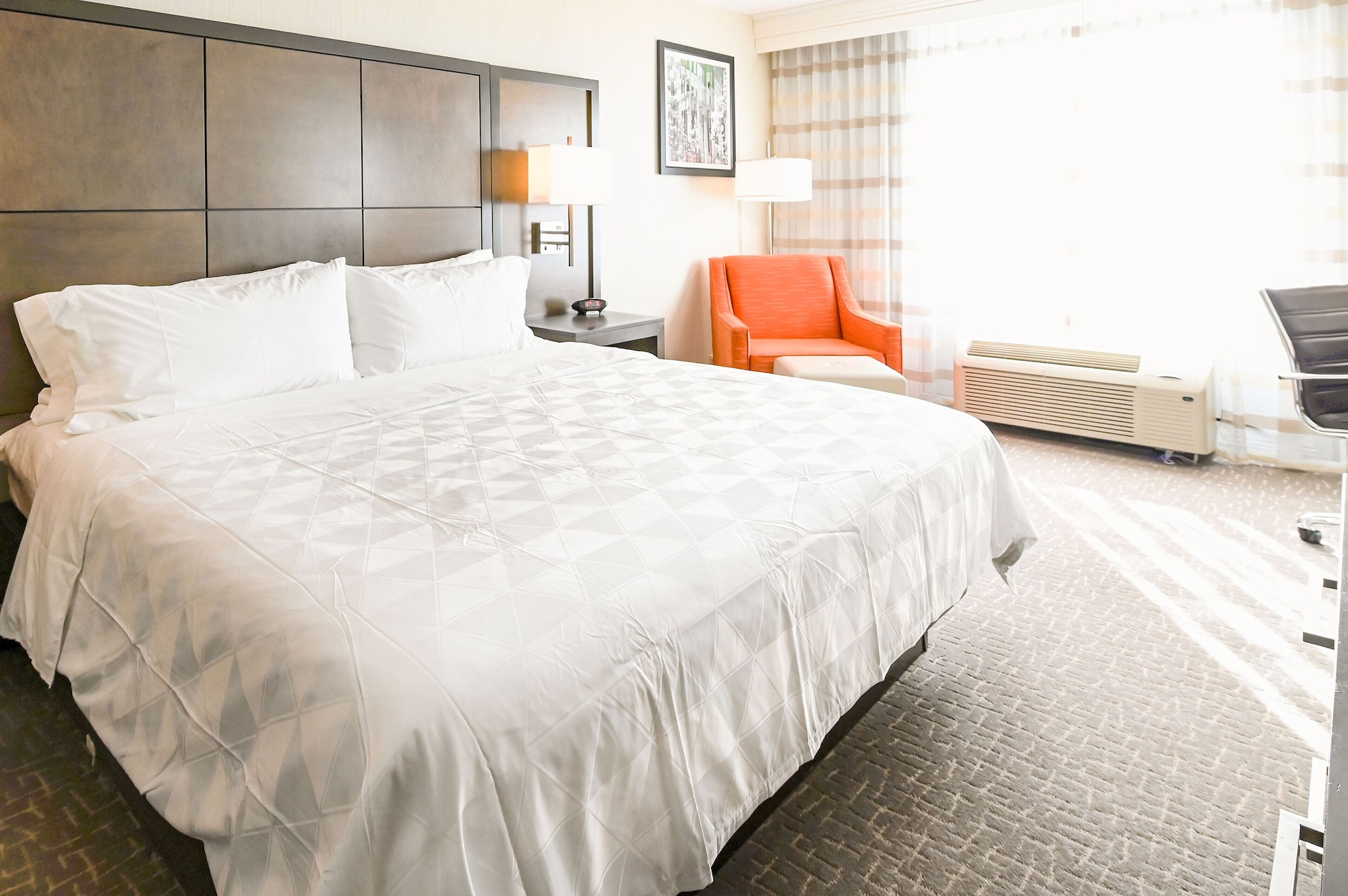 غرفة قياسية بسرير مزدوج، Holiday Inn Charlottesville-Univ Area 6/9