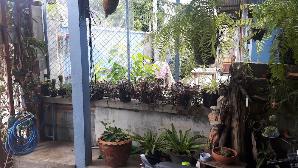Canaan Guesthouse 20/56