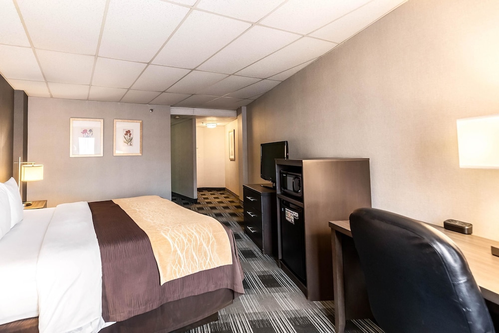 Comfort Inn Ballston 17/42