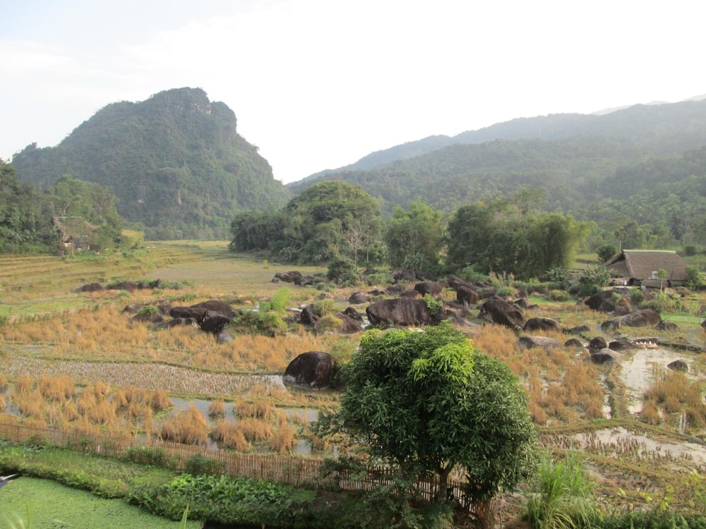 Dong Que Homestay - Hostel 44/50