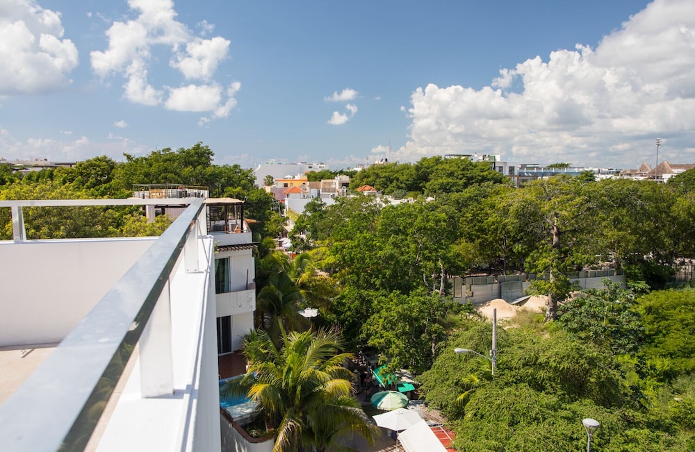 San Pedro Hotel 5ta Avenida 48/50