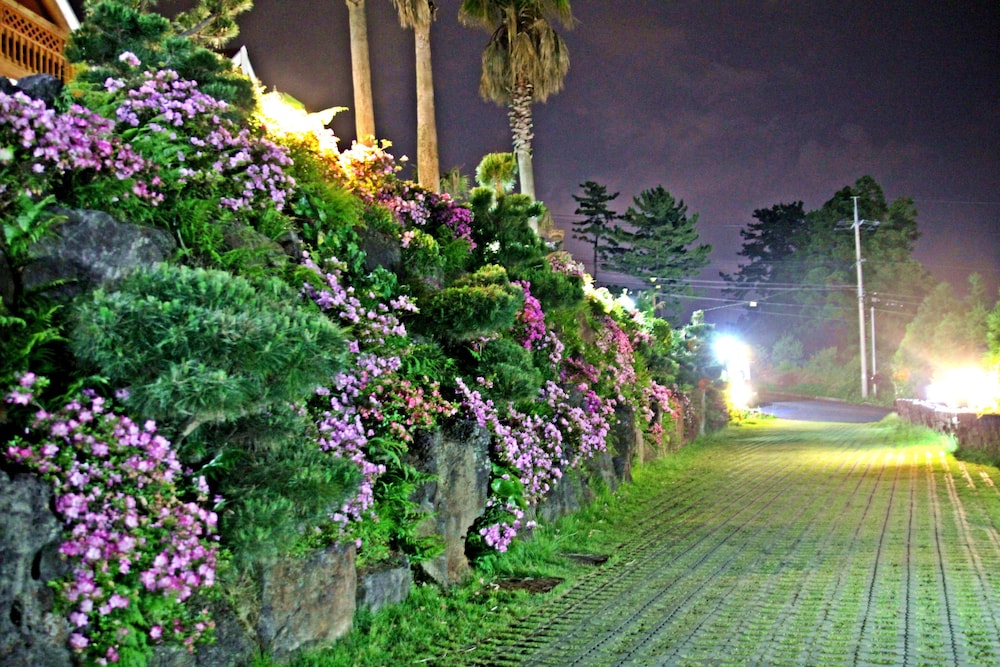 Jeju Jungmun Log Pension Resort 39/50
