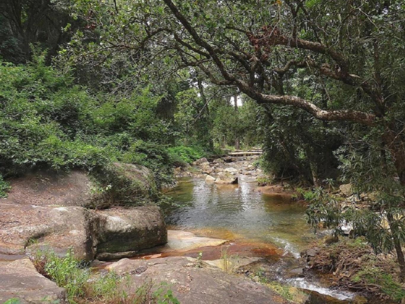 Masorini Bush Lodge 35/50