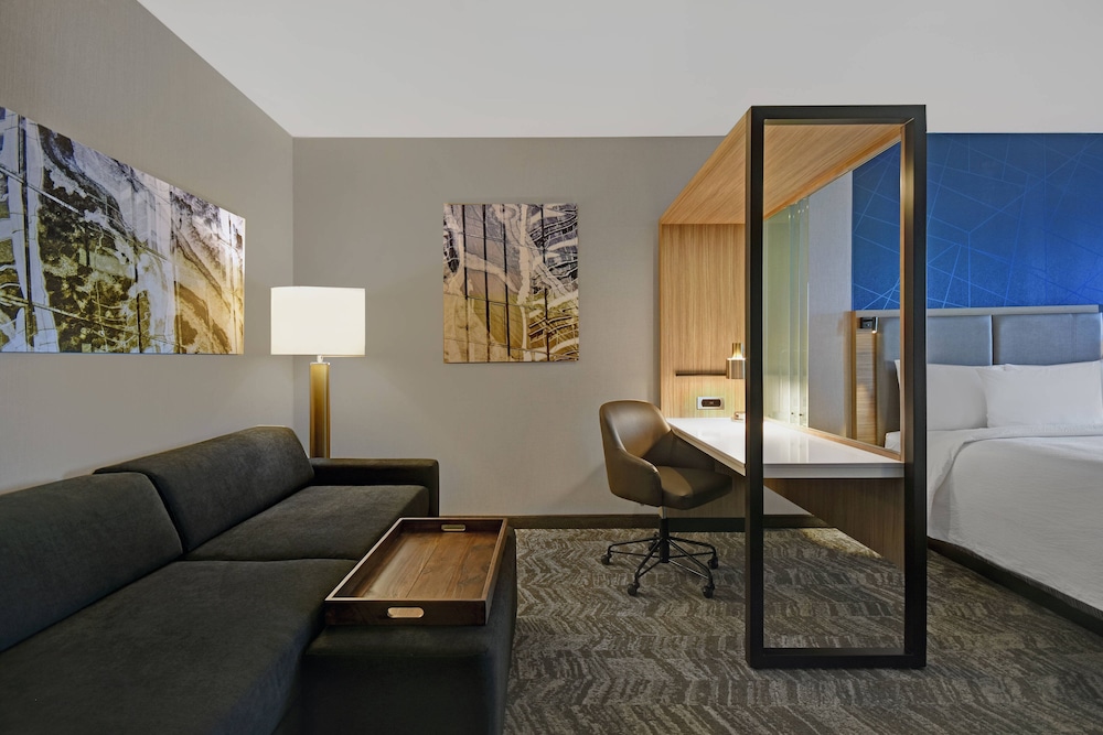 SpringHill Suites by Marriott St. Paul Arden Hills 37/52
