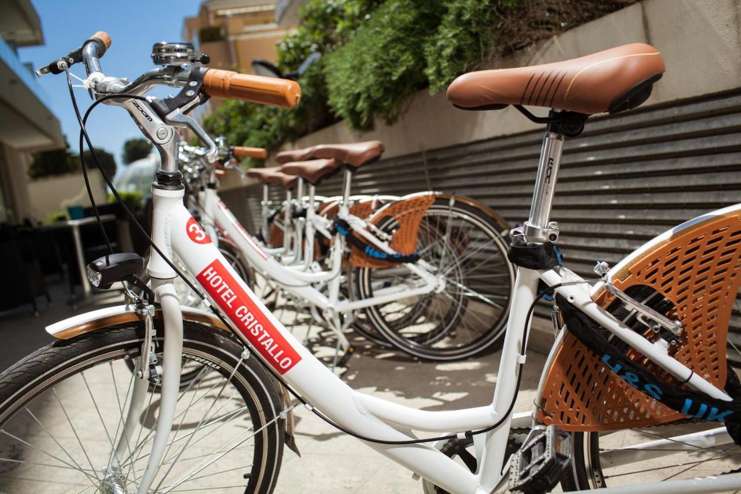 Hotel Cristallo Rimini 16/43