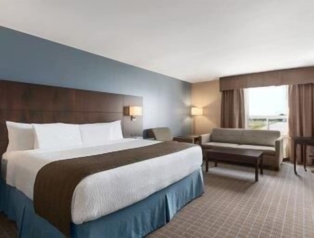 Suite, King Bed