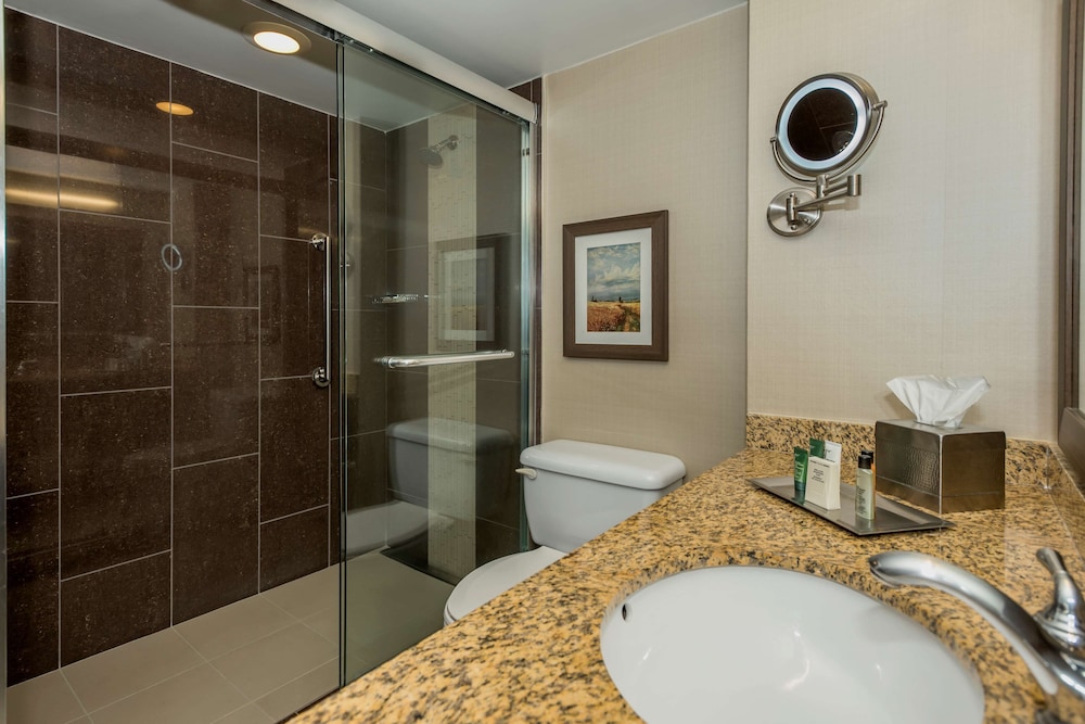 Hilton Winnipeg Airport Suites 18/65
