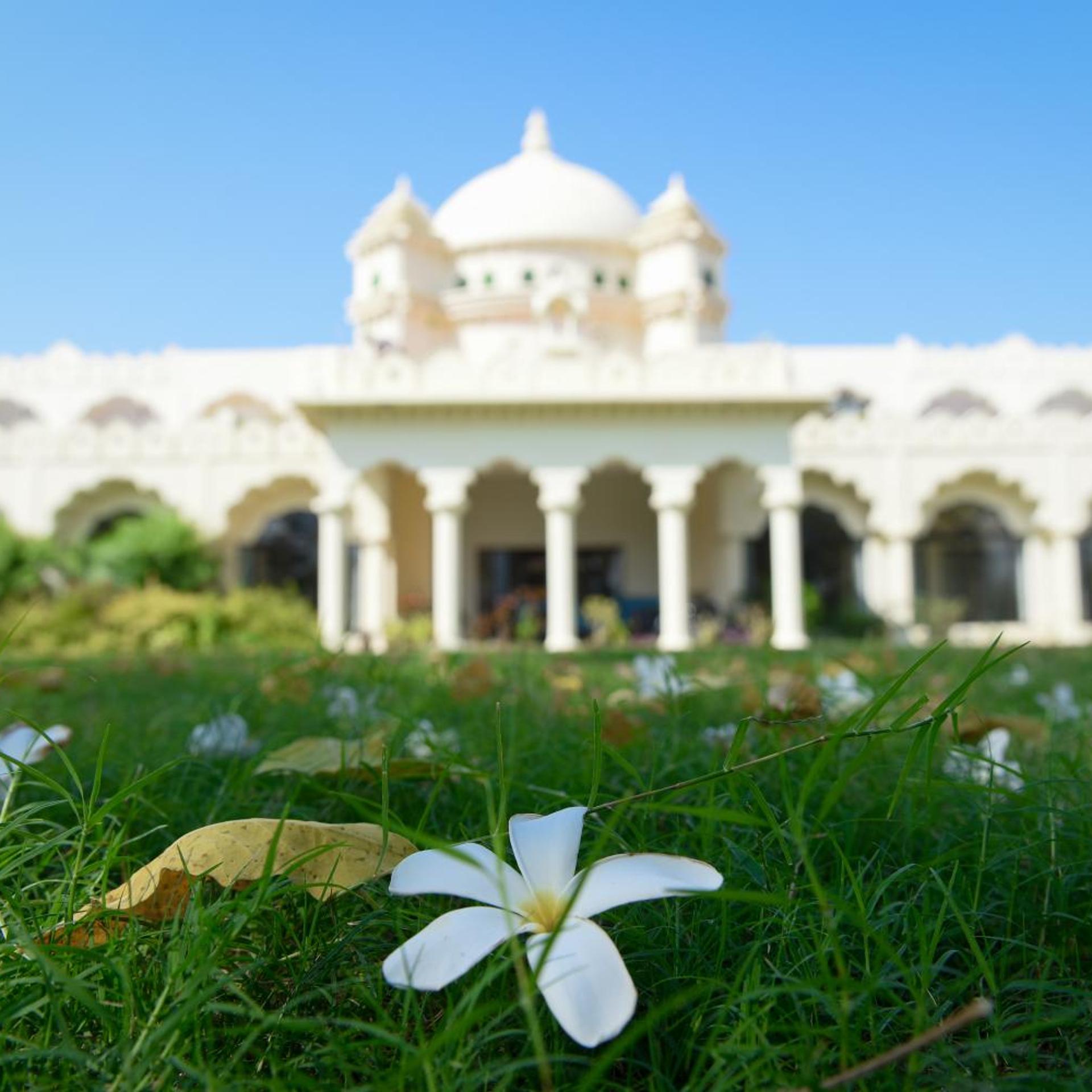 Gulaab Niwaas Palace 43/50