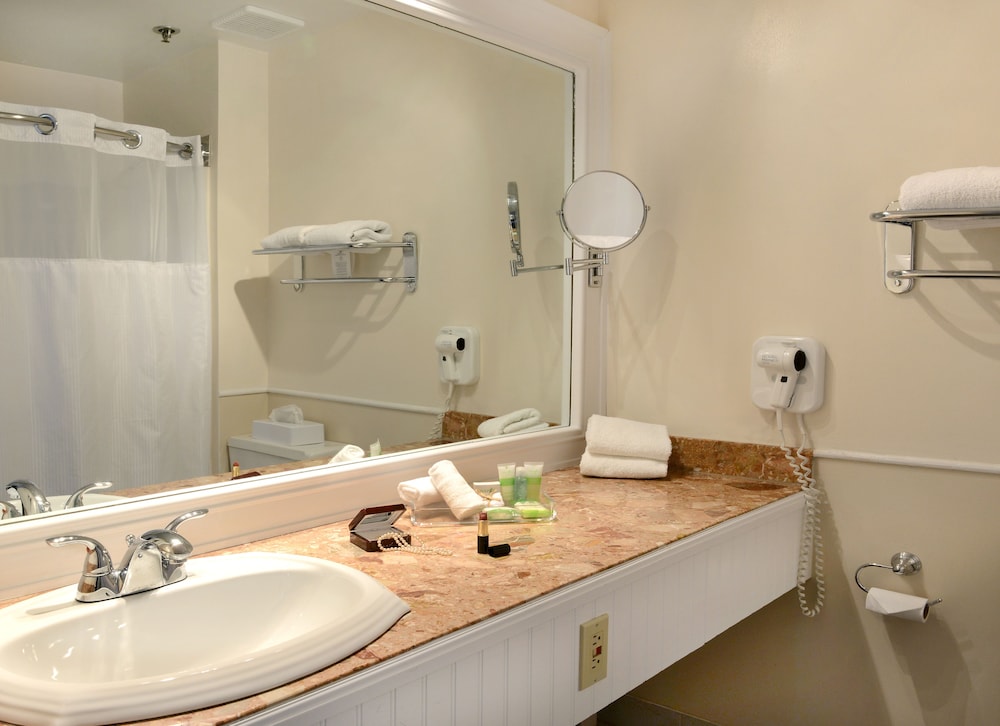 Best Western Ville Marie Montreal Hotel and Suites 15/45