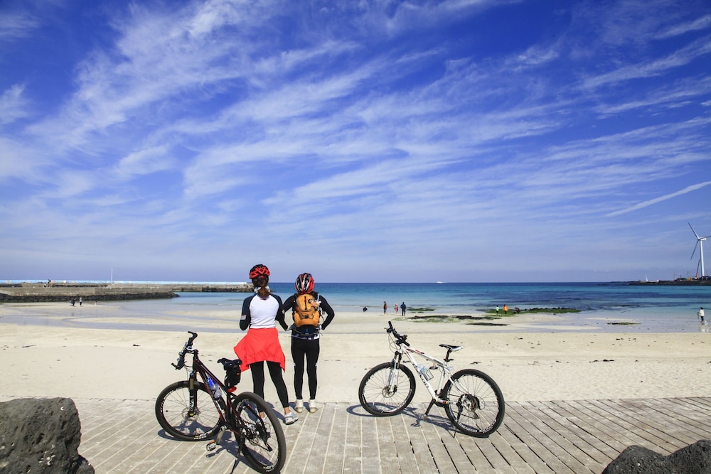 Daisy 16/23