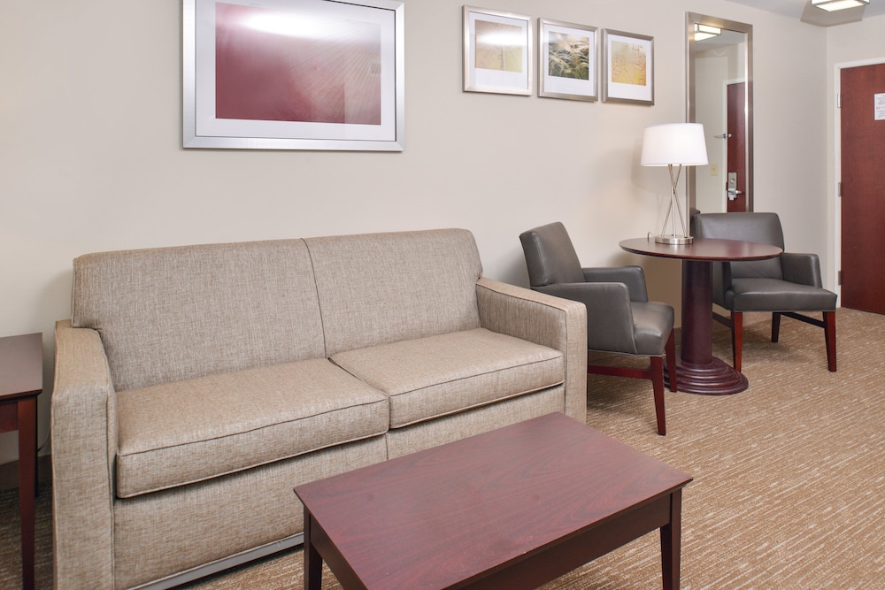 Holiday Inn Express Hotel And Suites Lafayette 24/49