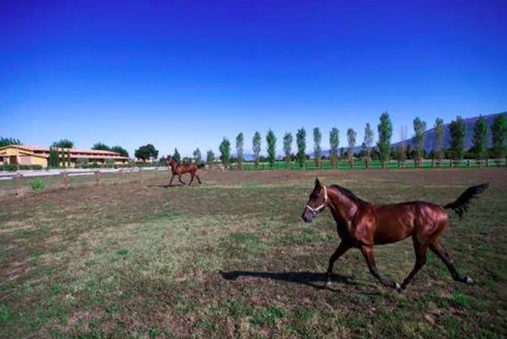 Il Baio Relais Natural Spa 42/46