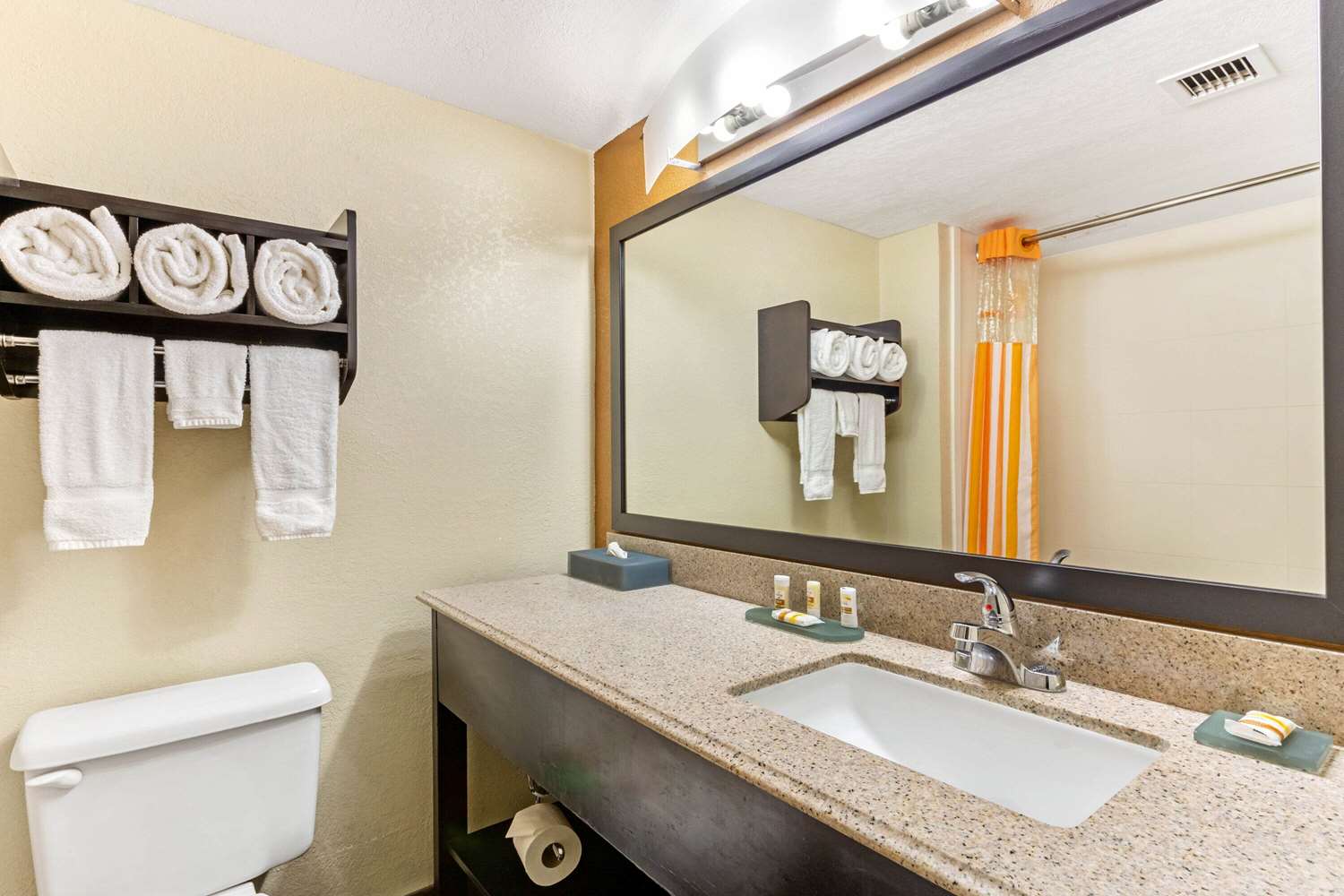 Comfort Inn & Suites Tampa North I-75 17/18