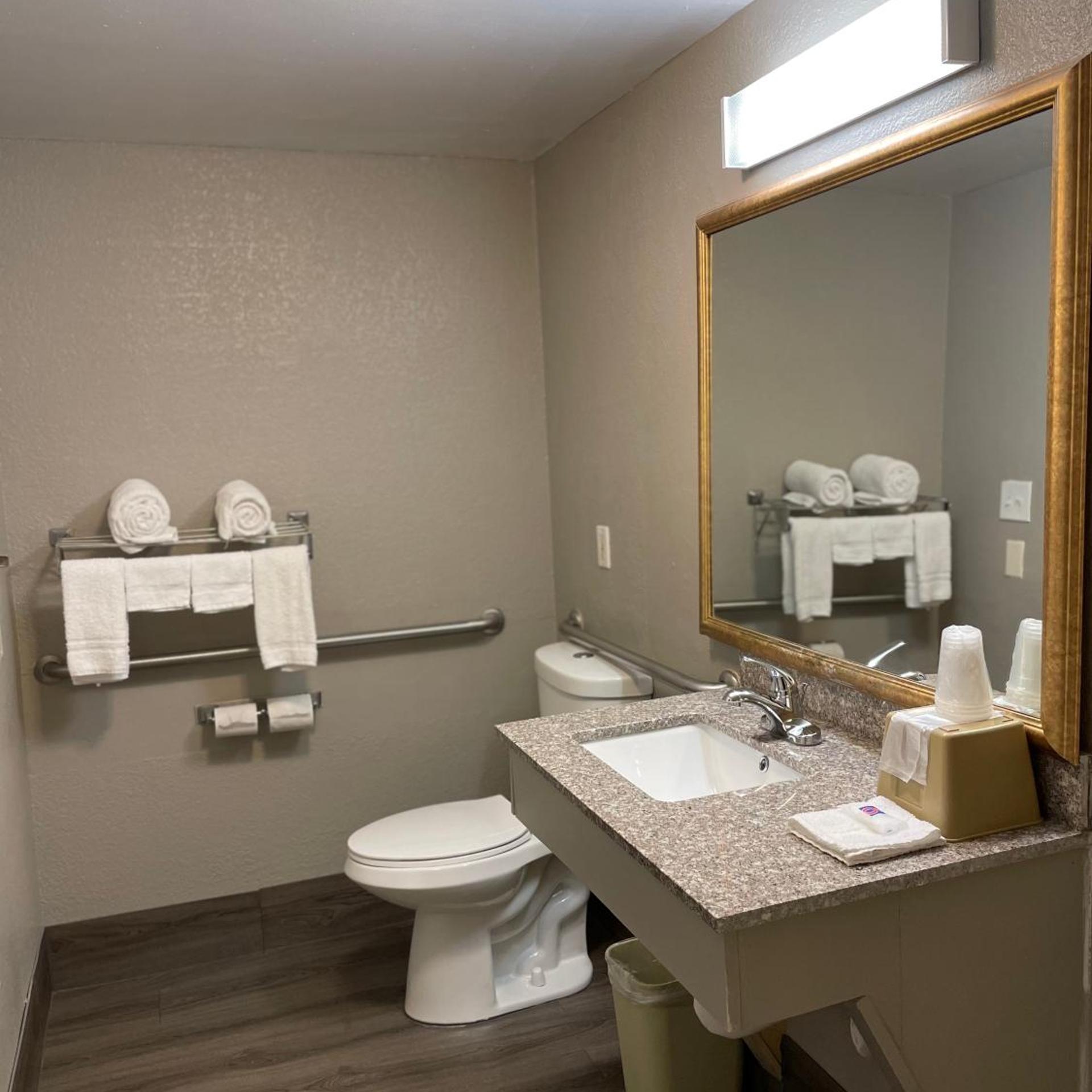ROOM, KING BED, ACCESSIBLE