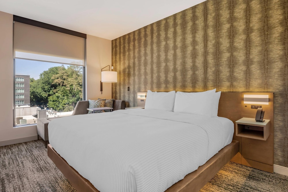 STANDARD, KING BED, ACCESSIBLE
