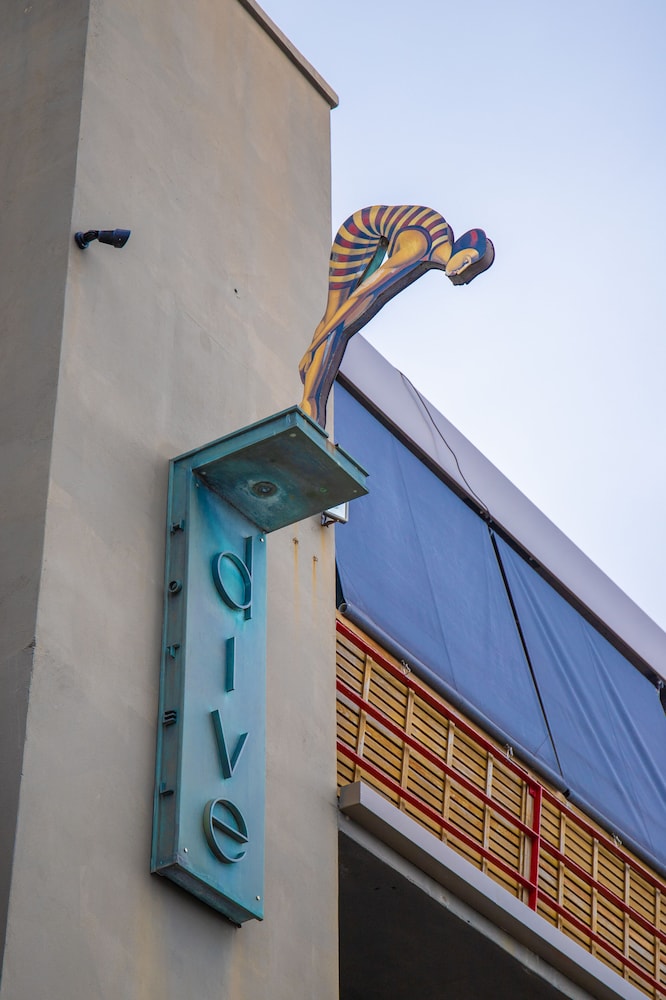 Dive Hotel Coogee Beach 4/53