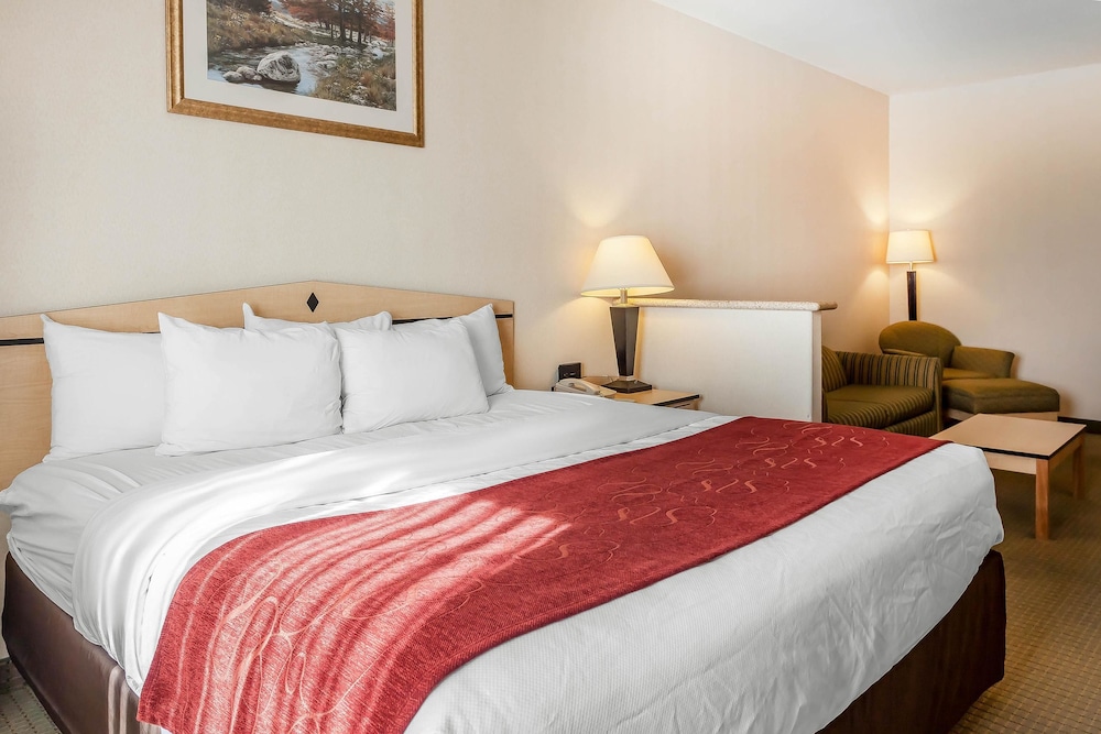 Comfort Inn & Suites Airport Convention Center 17/43
