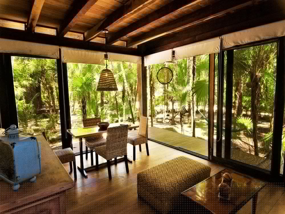 Vida Silvestre Tulum 33/50