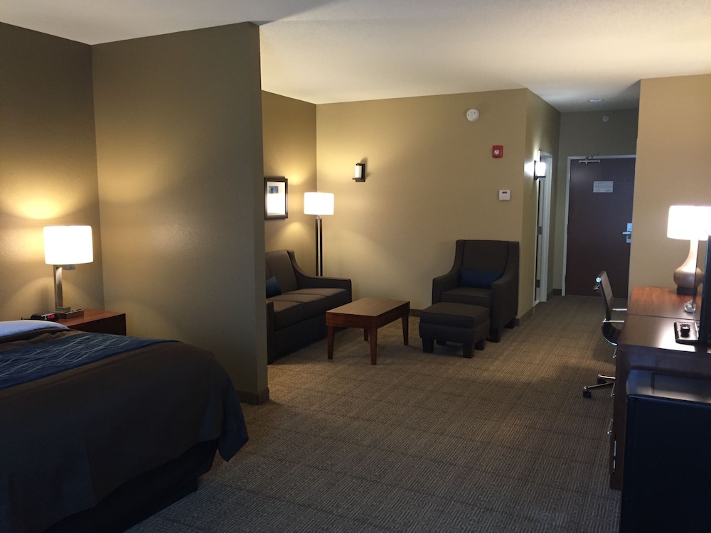 Comfort Inn & Suites Lynchburg Airport - University Area 29/40