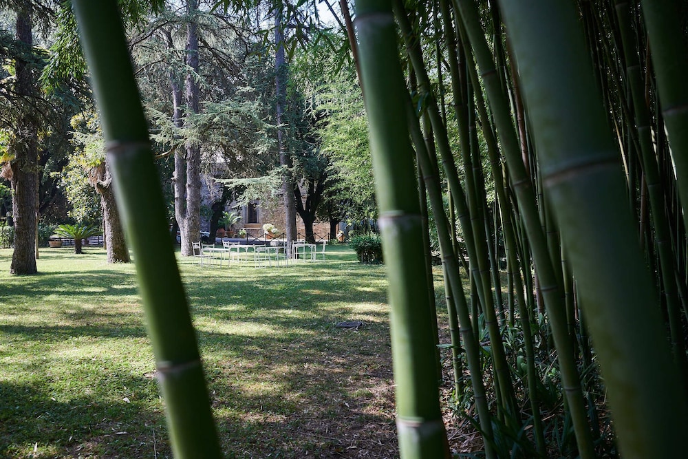surroundings