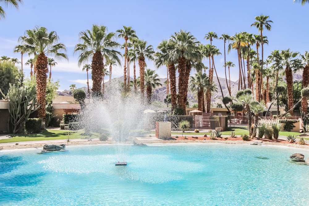 Desert Isle Of Palm Springs 41/50