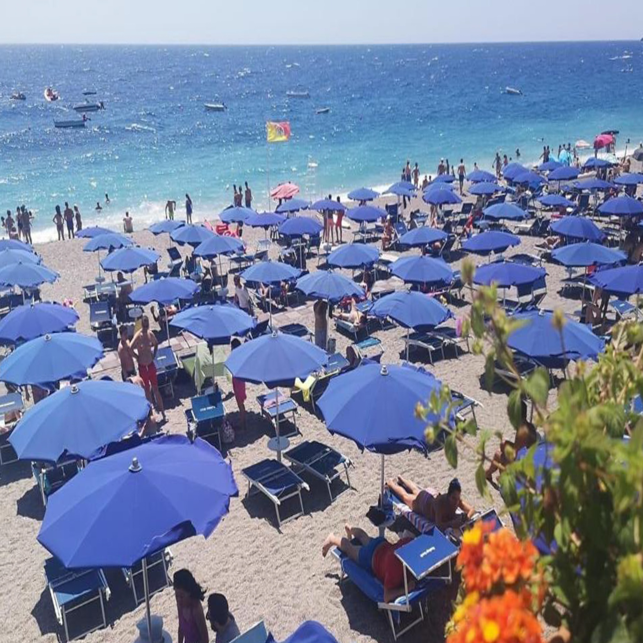 San Vincenzo 44/50