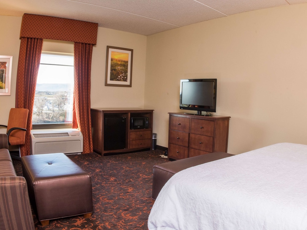 Hampton Inn And Suites Woodstock 12/74