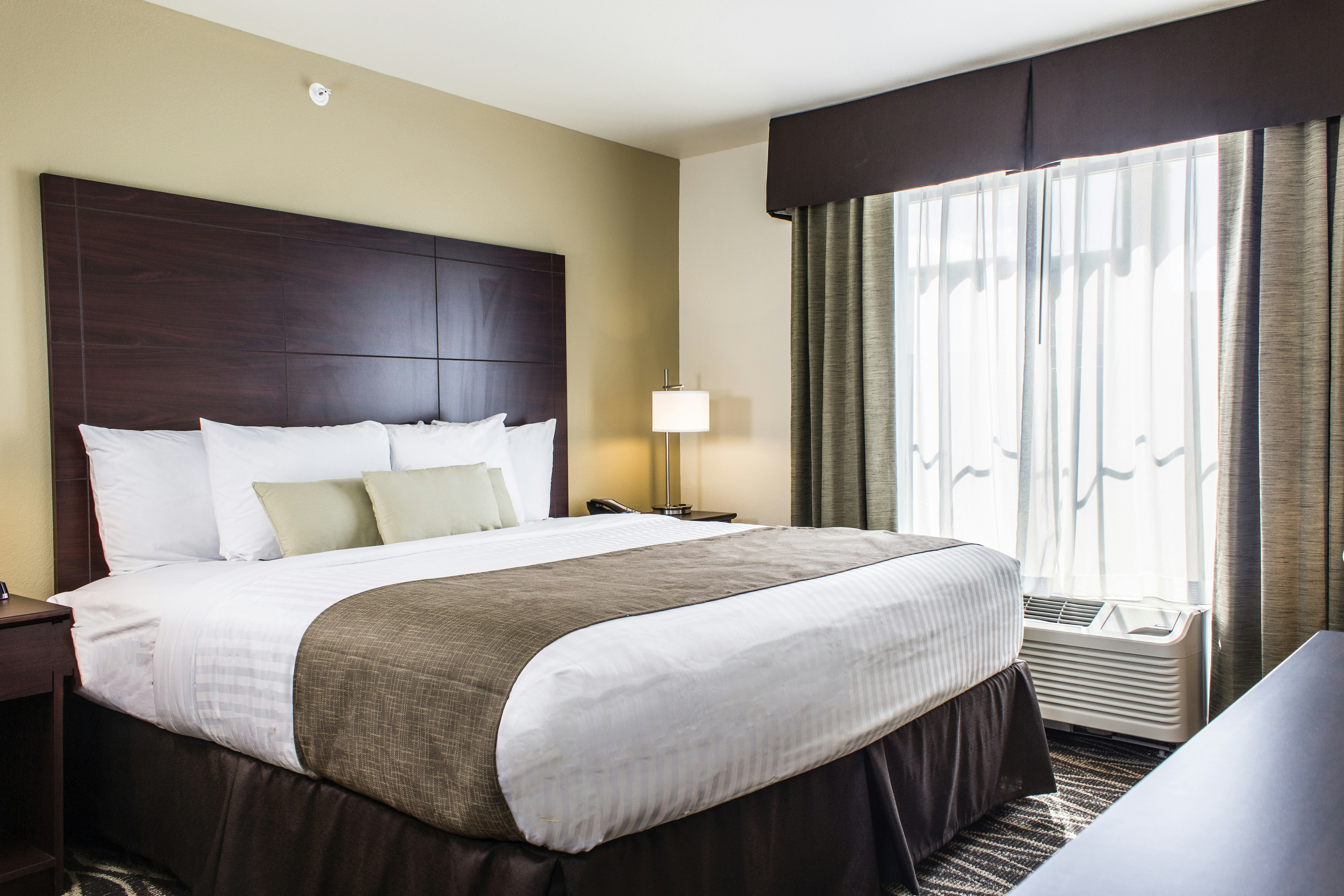 Cobblestone Hotel & Suites - Chippewa Falls 9/49