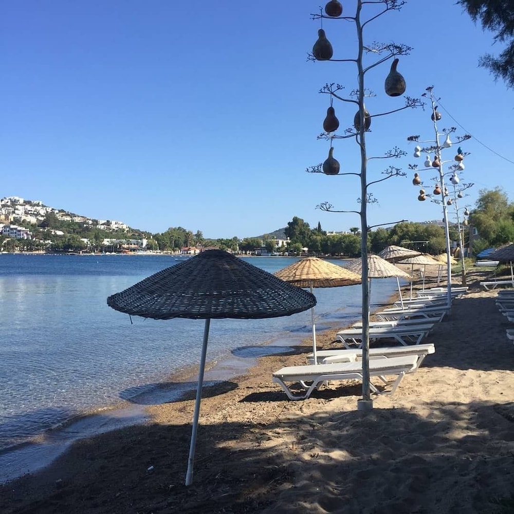Pitos Bungalows 34/50