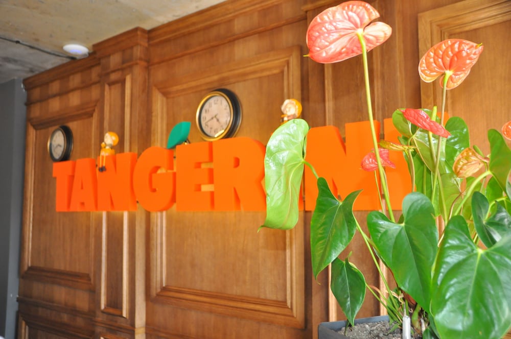 Tangerine Apart Hotel Batumi 13/62
