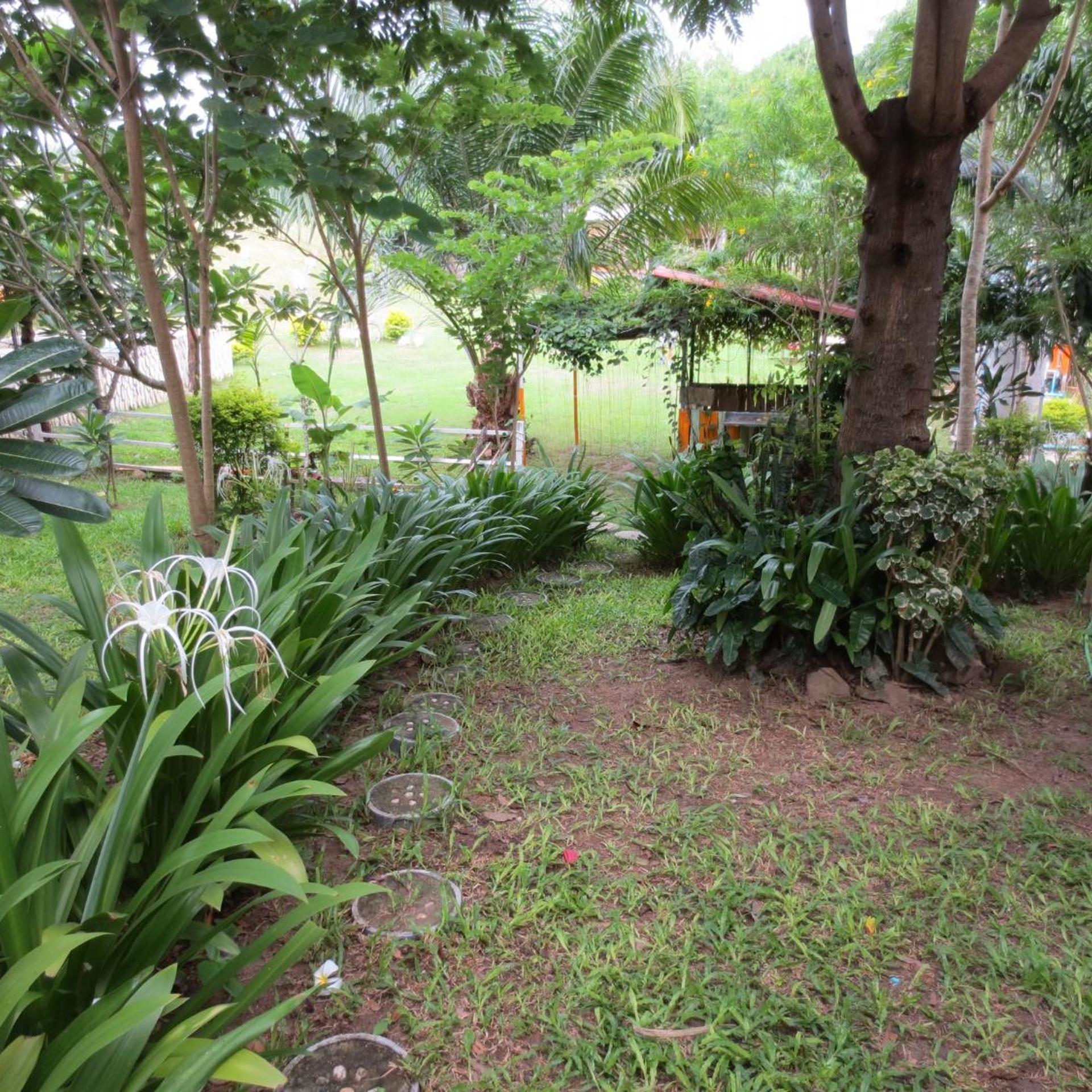 Baan Ton Nam Resort 55/61