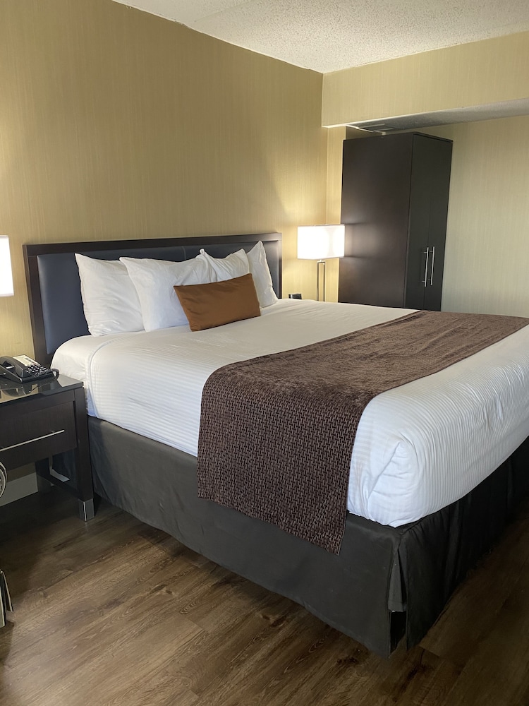 Wingate by Wyndham Springfield 10/60