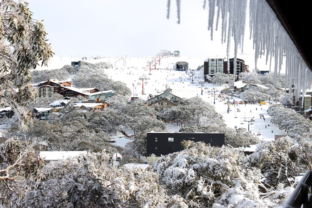 ALPINE RETREAT MT BULLER 42/50