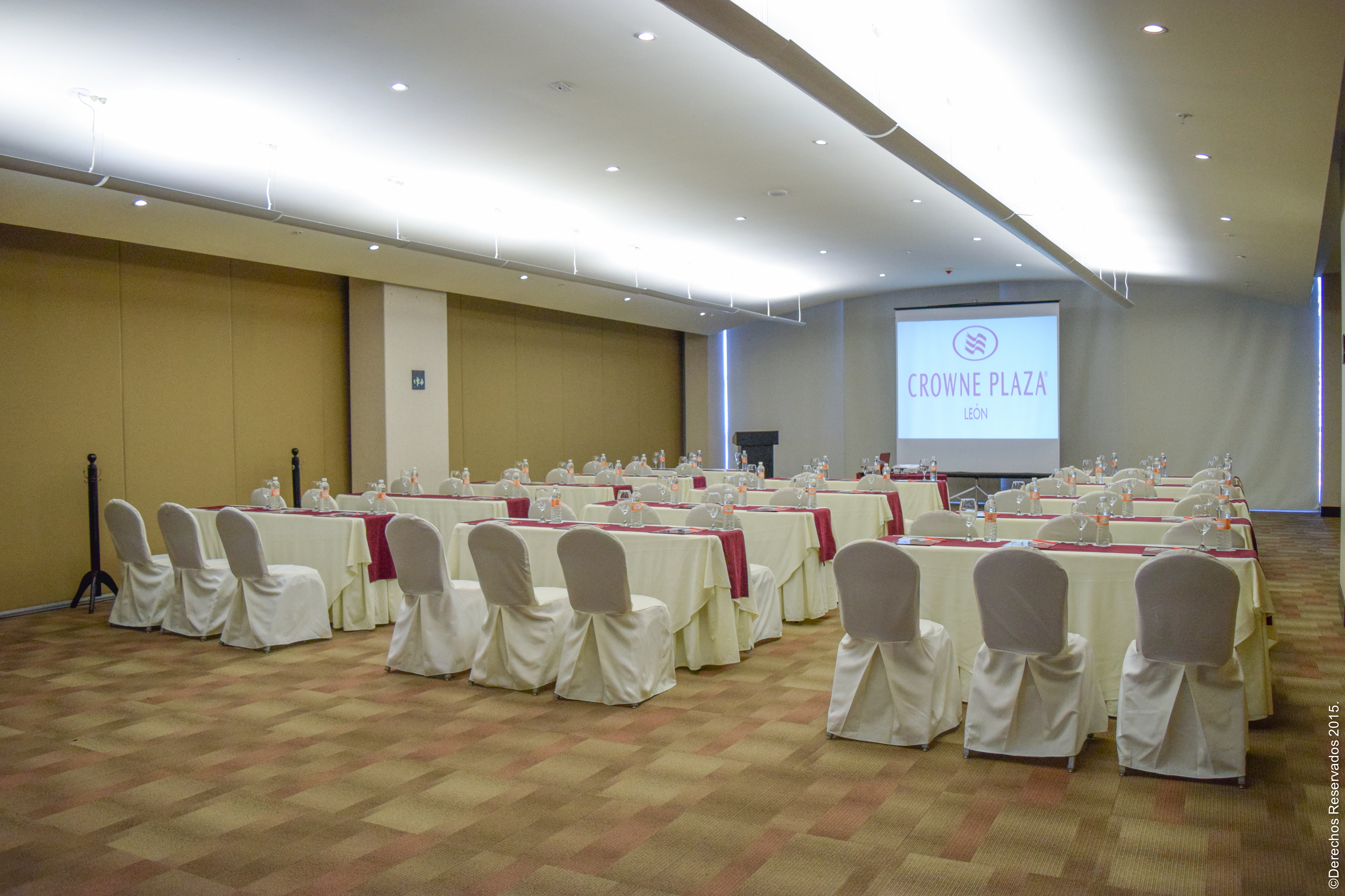 Crowne Plaza Leon 39/50