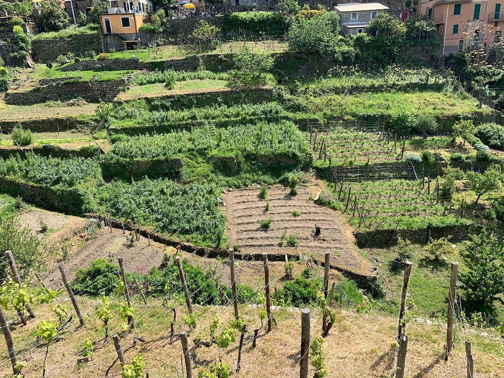 Il Magan - Cinque Terre 33/50