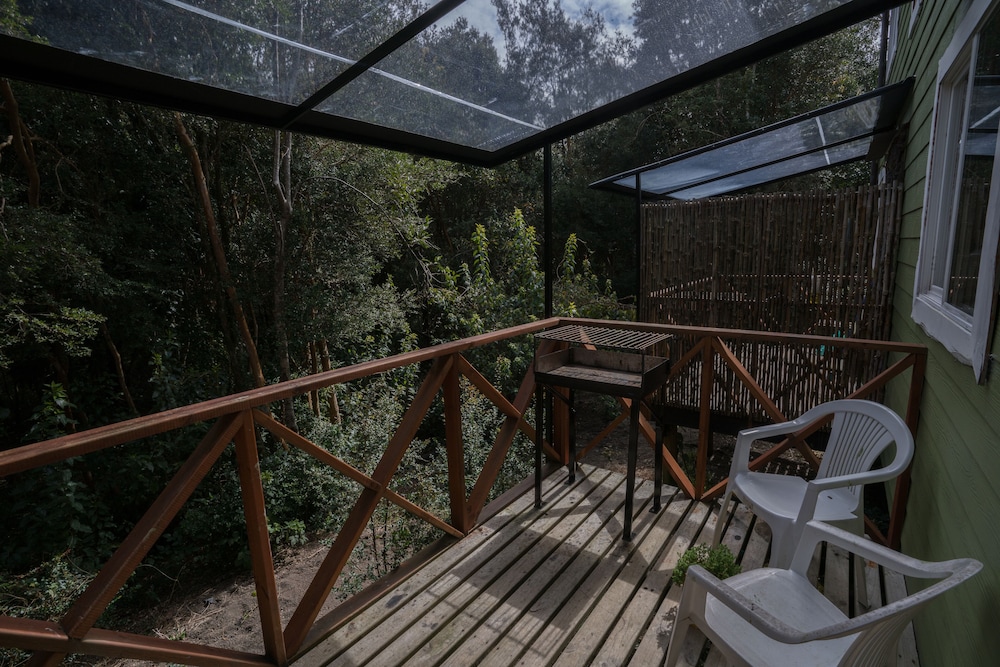 Cabanas Anulen Bosque Nativo 18/49
