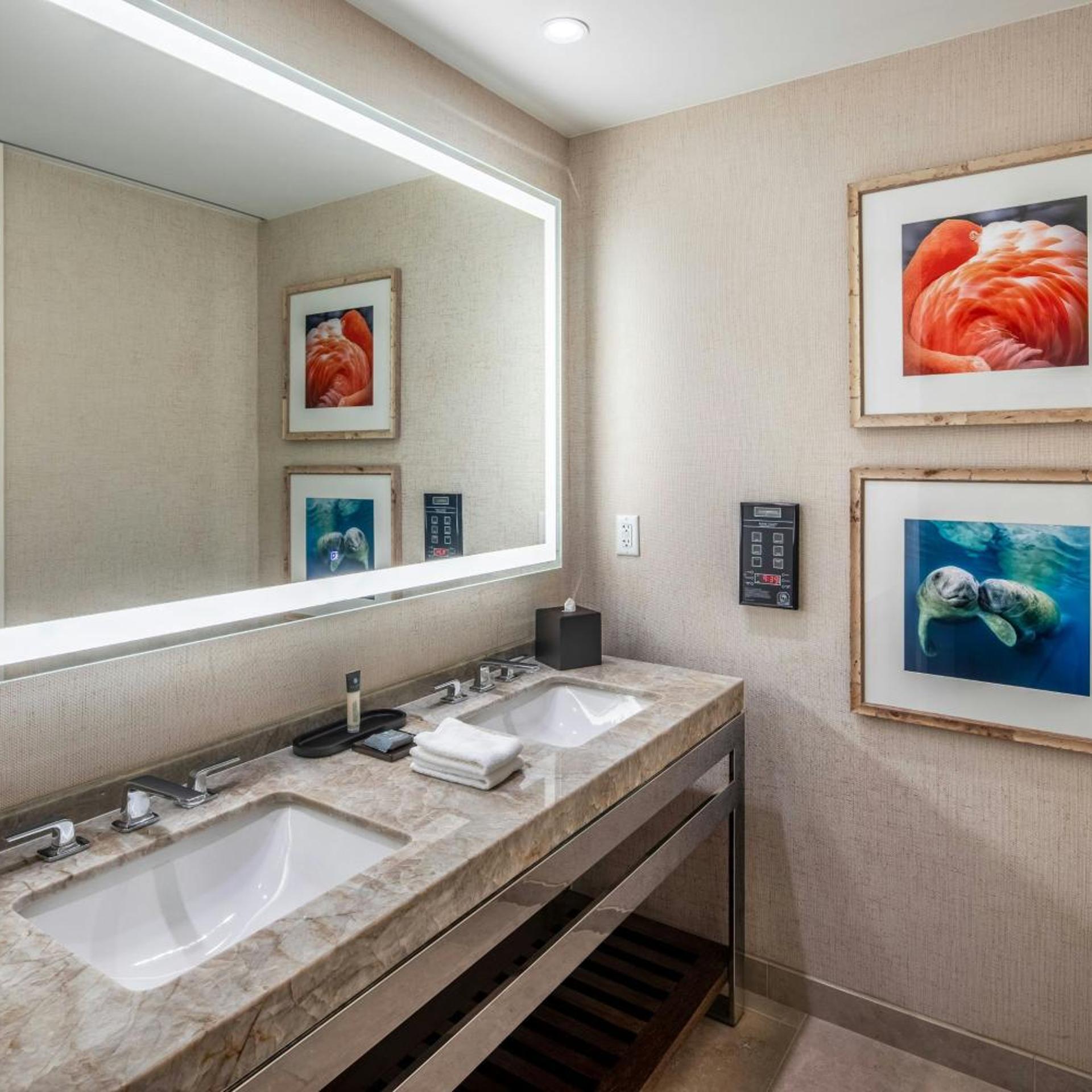 Guest Room, 2 Queen Beds, Water Park View, Gulf Coast Tower, Accessible، Gaylord Palms Resort & Convention Center 7/10