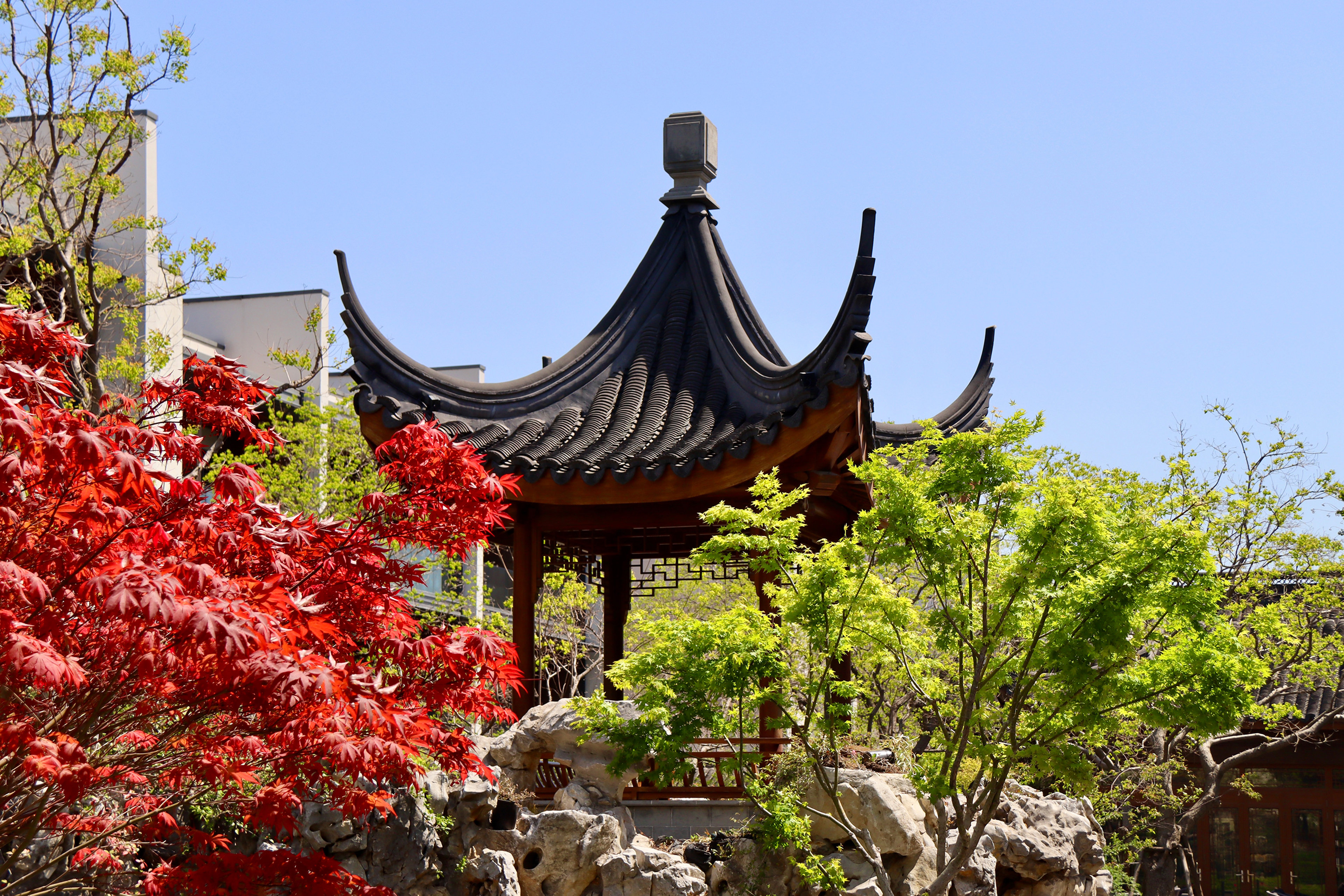 Kimpton Suzhou Bamboo Grove 5/50