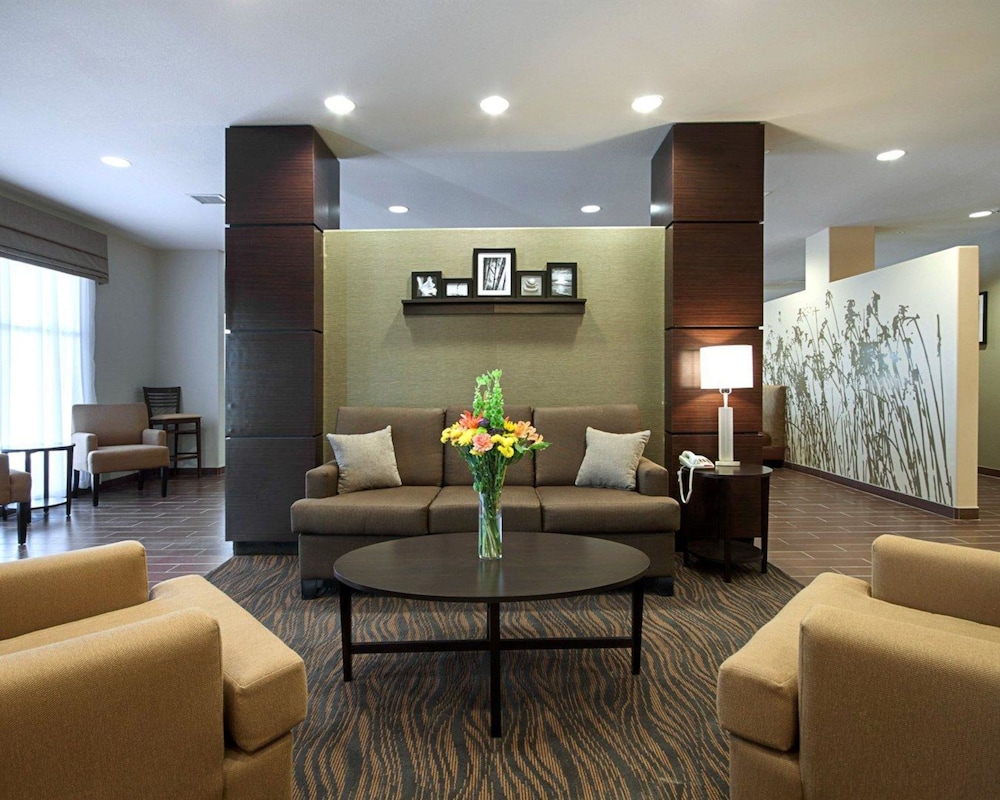 Sleep Inn & Suites Carlsbad Caverns Area 29/46