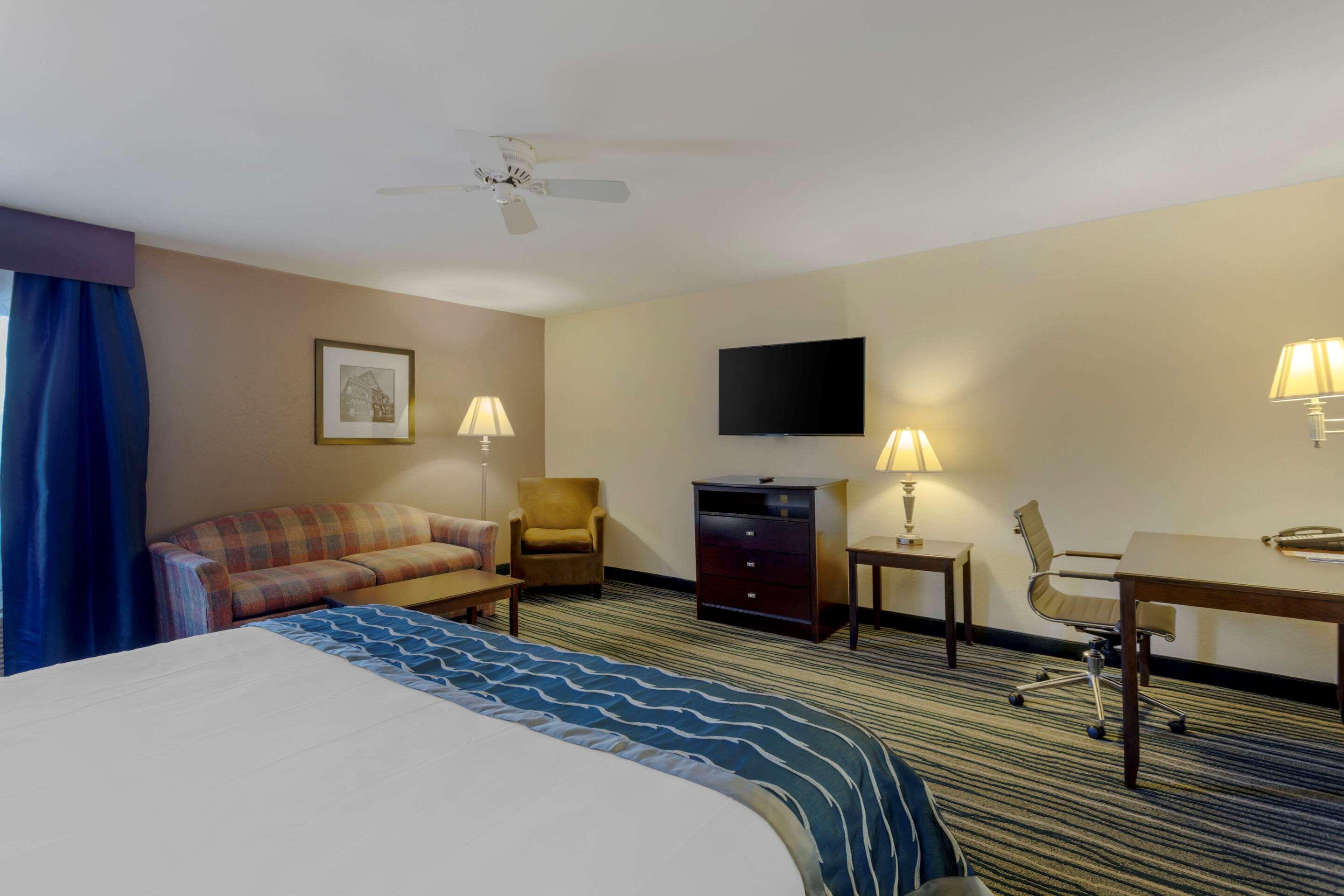 Suite, King Bed