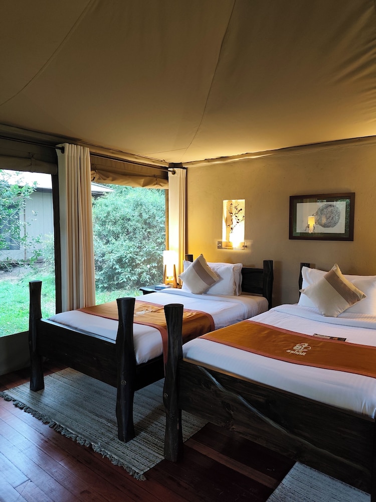 Ashnil Mara Camp 10/50