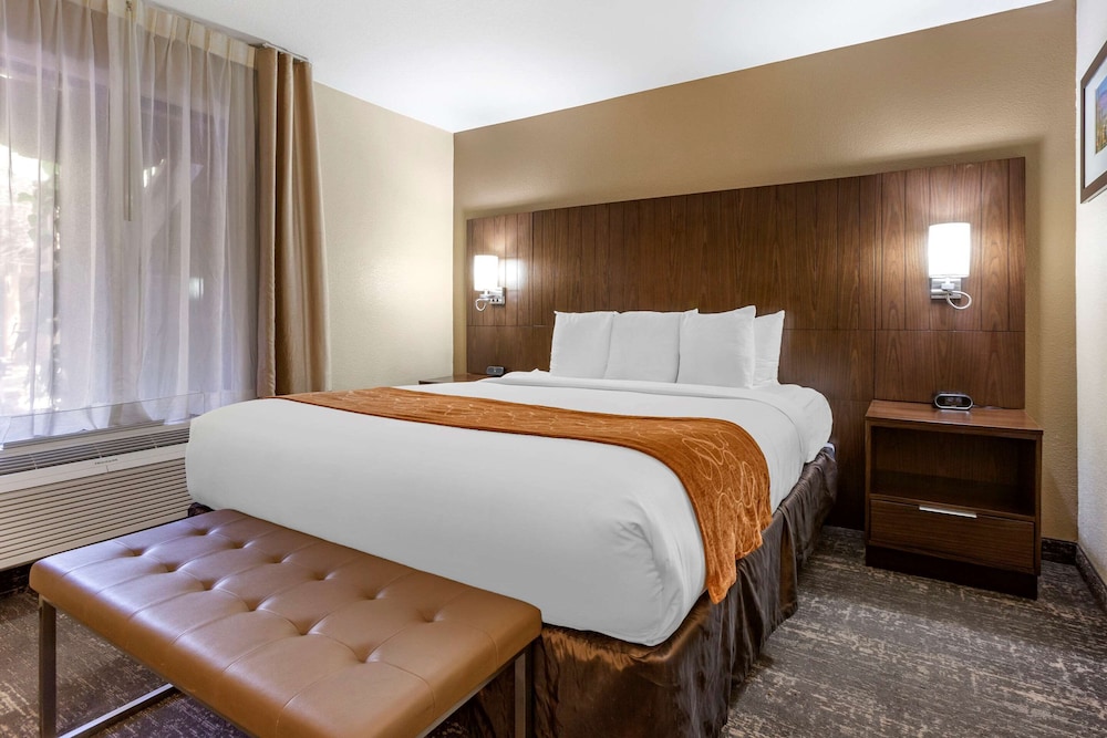 Comfort Suites Tucson near Sabino Canyon 28/47