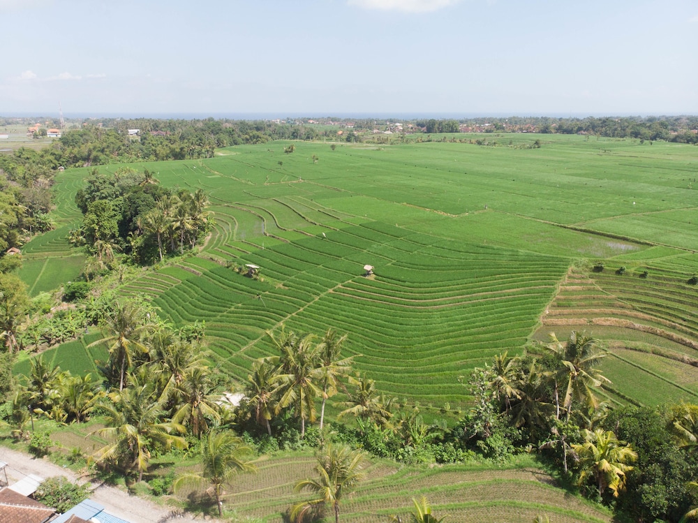 De Moksha Eco Friendly Boutique Resort & Restaurant 47/74