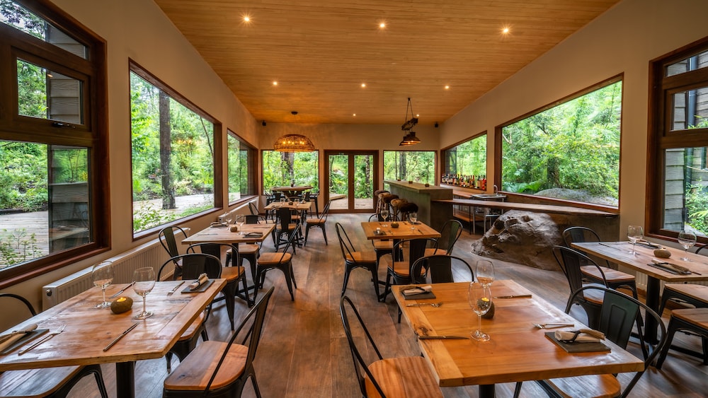 Rakau Lodge 11/16
