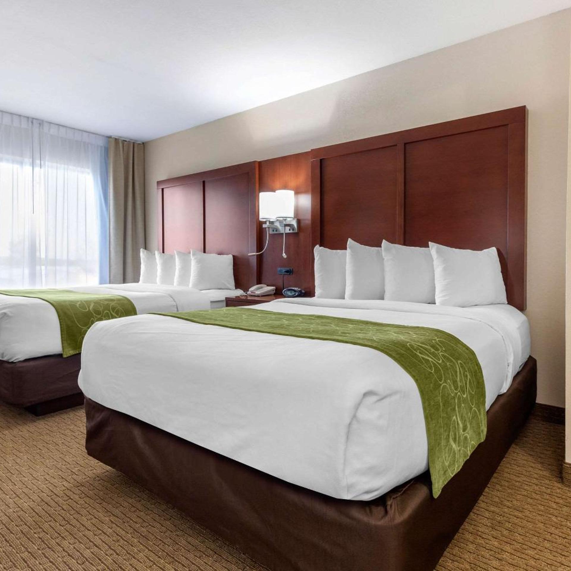 Suite, Queen Bed, Pet Friendly