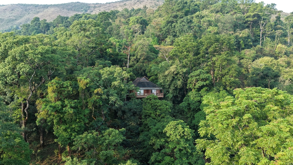 The Tamara Coorg 47/49