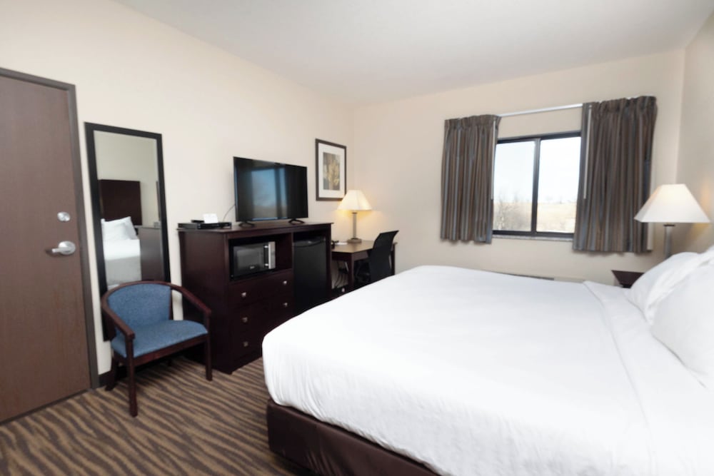 Room, King Bed