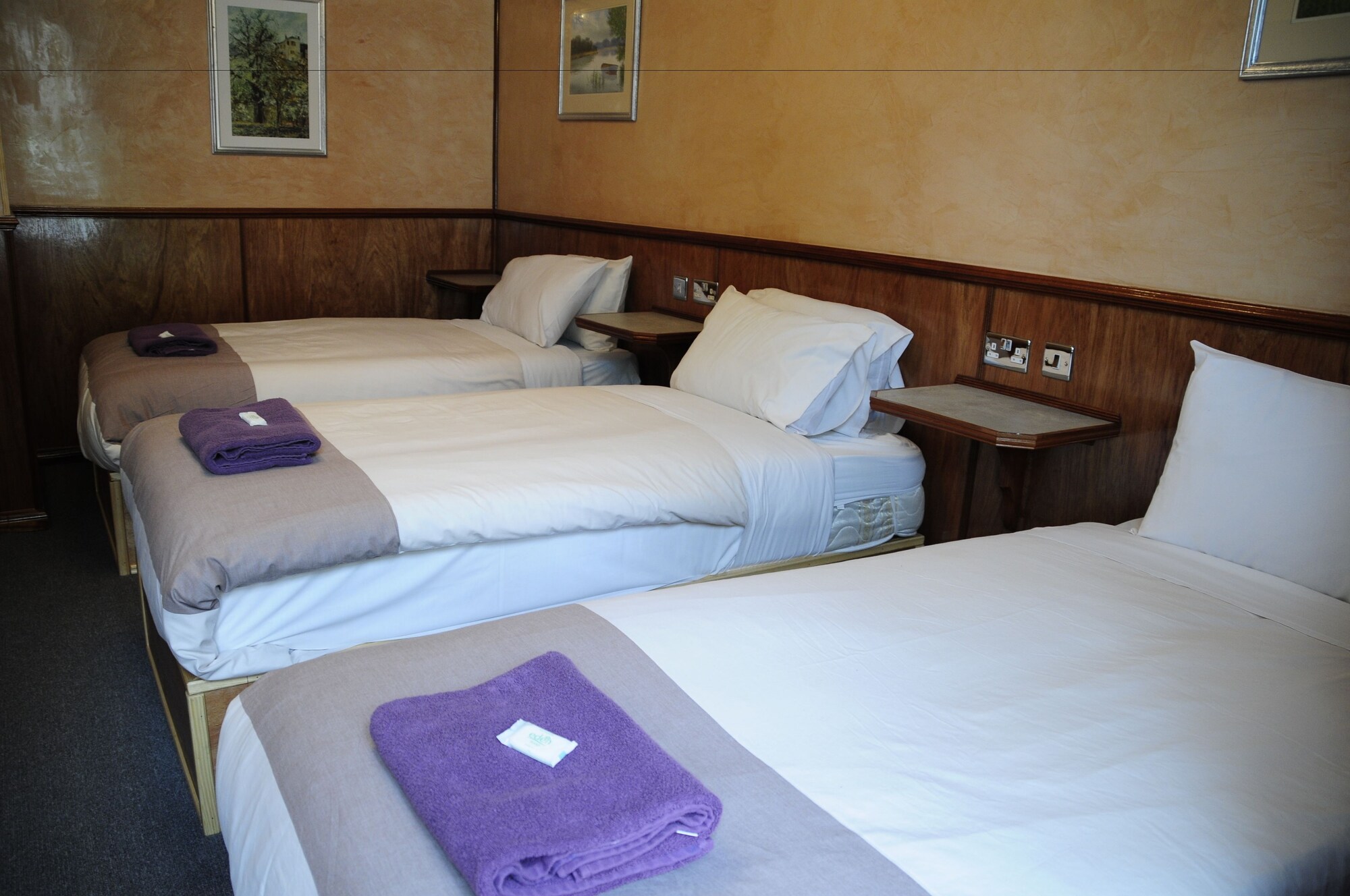 ROOM, TRIPLE, DOUBLE AND TWIN BEDS