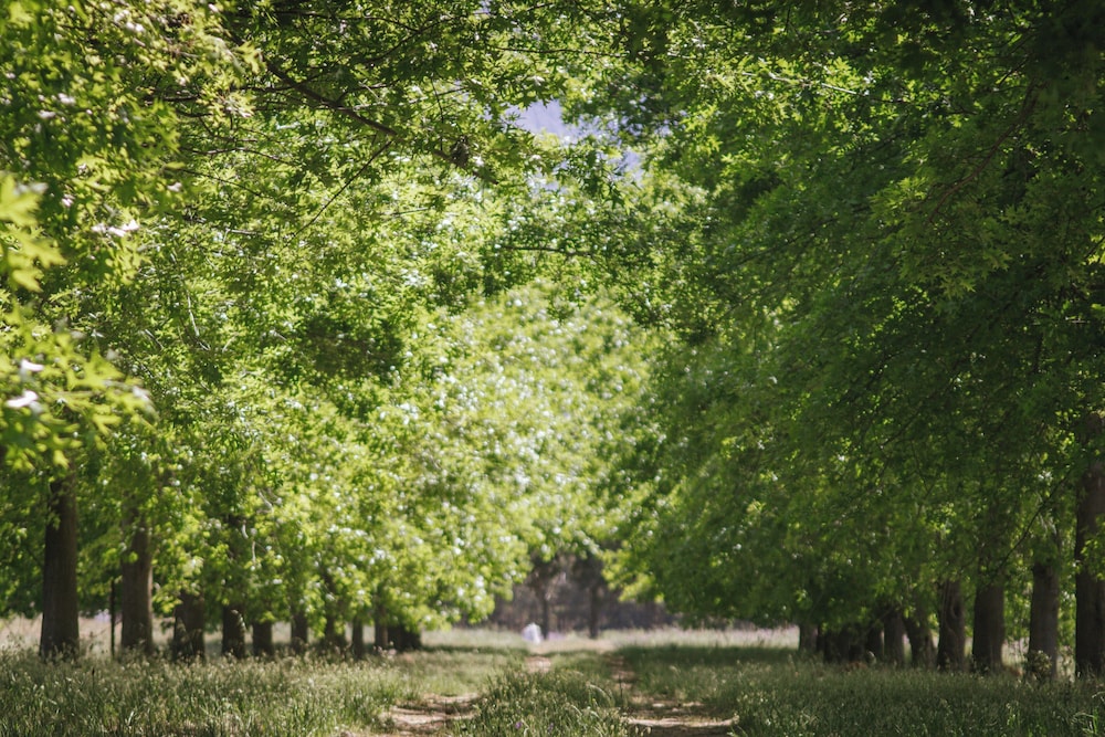 Duikersdrift Winelands Country Escape 41/50